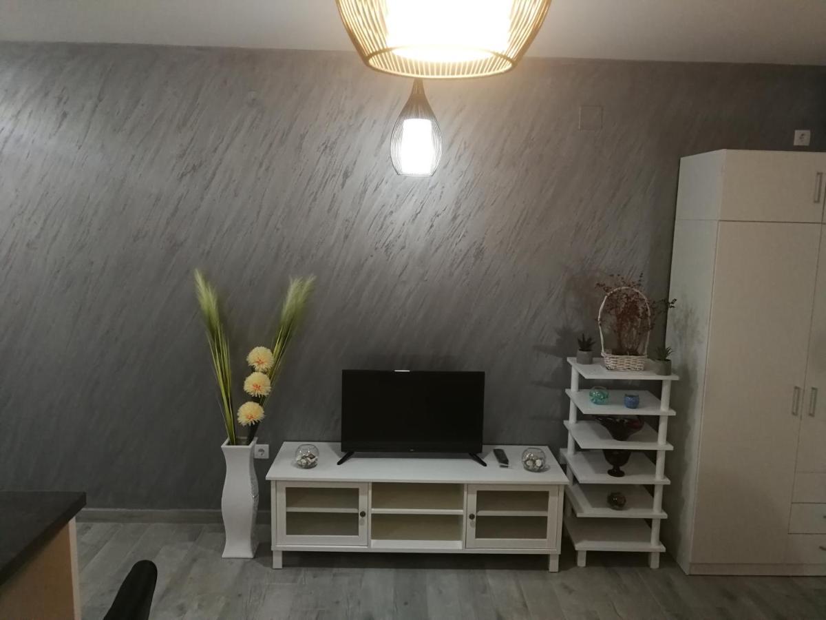 Danica Apartment Sremska Mitrovica Exterior photo